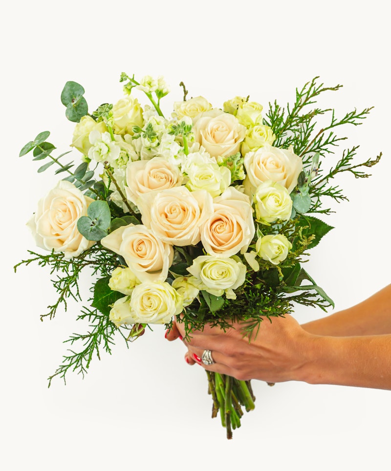 A person's hands holding a bouquet of blush roses and white flowers with eucalyptus and greenery accents against a white background.