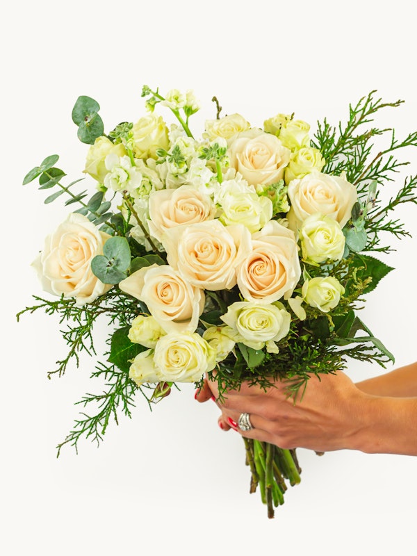 A person's hands holding a bouquet of blush roses and white flowers with eucalyptus and greenery accents against a white background.