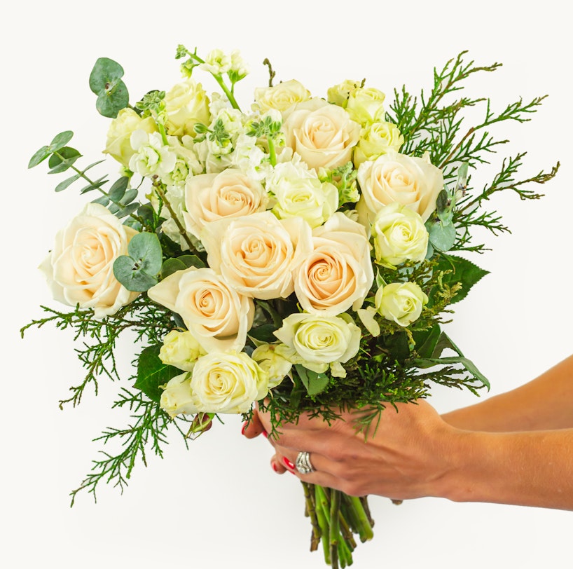 A person's hands holding a bouquet of blush roses and white flowers with eucalyptus and greenery accents against a white background.