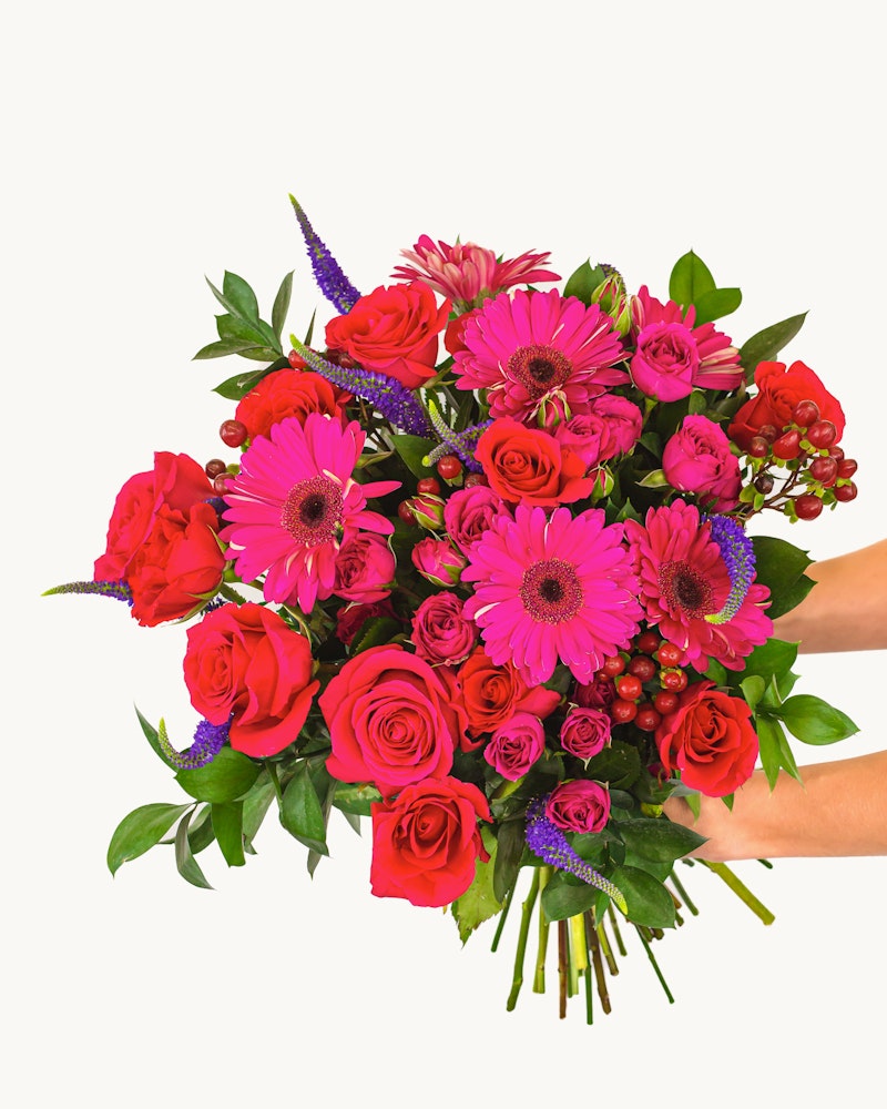 Vibrant bouquet of red roses and pink gerbera daisies with purple accents and green leaves held by hands against a white background, symbolizing love or celebration.