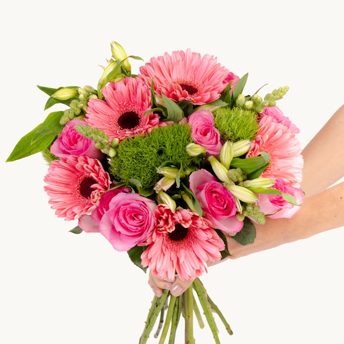 Hand holding a vibrant bouquet of pink gerberas, roses, and green button mums against a white background, illustrating a fresh and colorful floral arrangement.