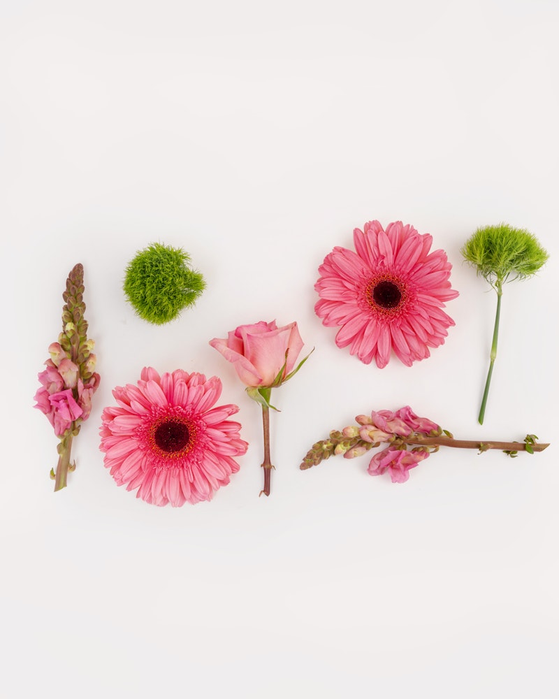 Assortment of vibrant flowers including pink gerberas, a rose, green dianthus balls, and purple snapdragons arranged neatly on a white background.