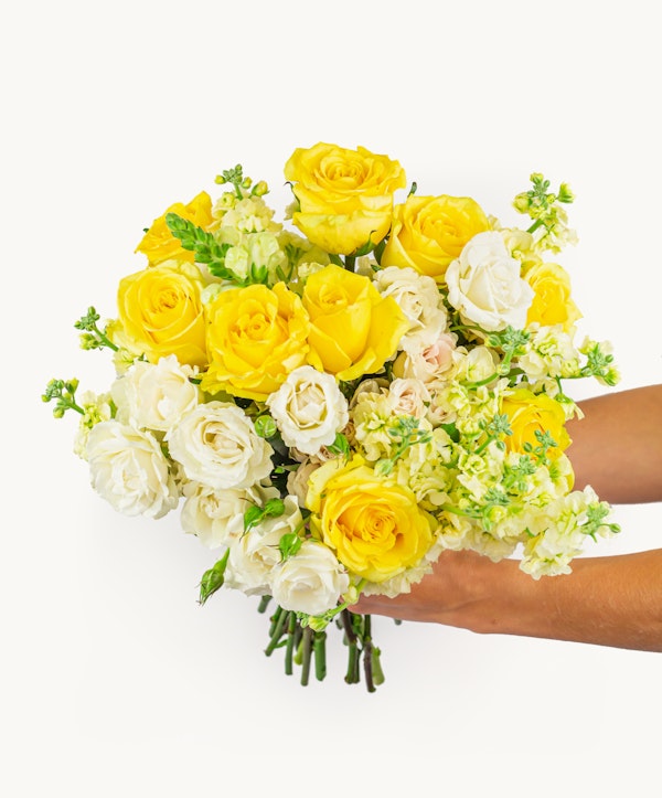 Bright yellow and white roses in a fresh bouquet held by a pair of hands against a white background, symbolizing vibrant beauty and delicate floral arrangements.