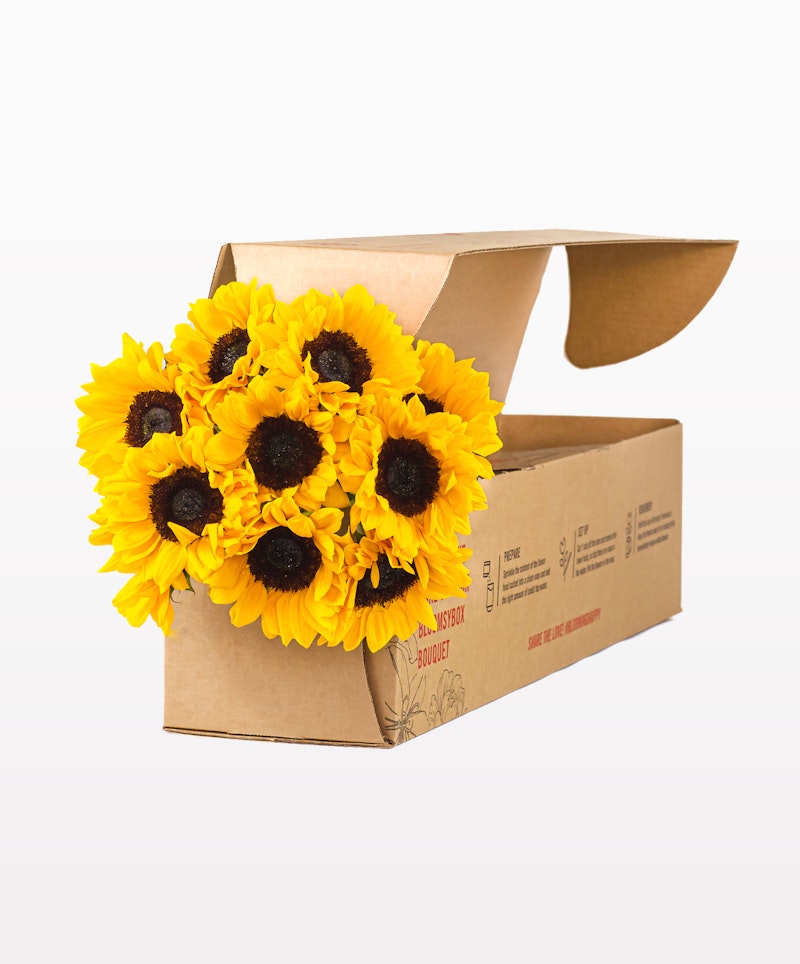 Bouquet of fresh yellow sunflowers with prominent dark centers overflowing from a partially opened, brown cardboard box on a plain white background.