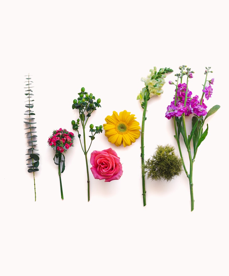 Assorted colorful flowers and plants, including a yellow gerbera, pink rose, and greenery, neatly arranged in a row on a white background.