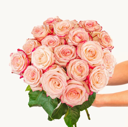 A stunning bouquet of peach and pink roses held gently, showcasing elegance and beauty.