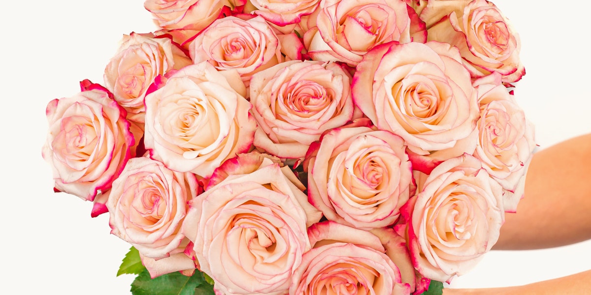 Pretty in Pink Roses