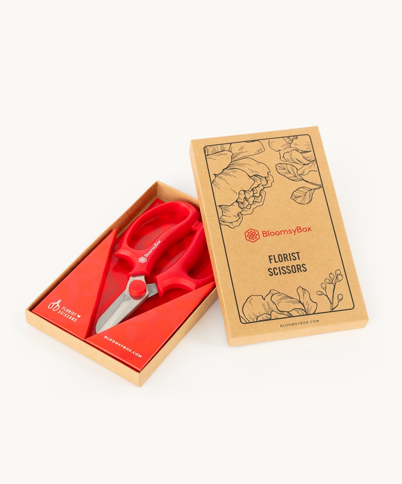 Red florist scissors inside a cardboard box with a floral illustration and the text "Bloomy's Box FLORIST SCISSORS" against a white background.