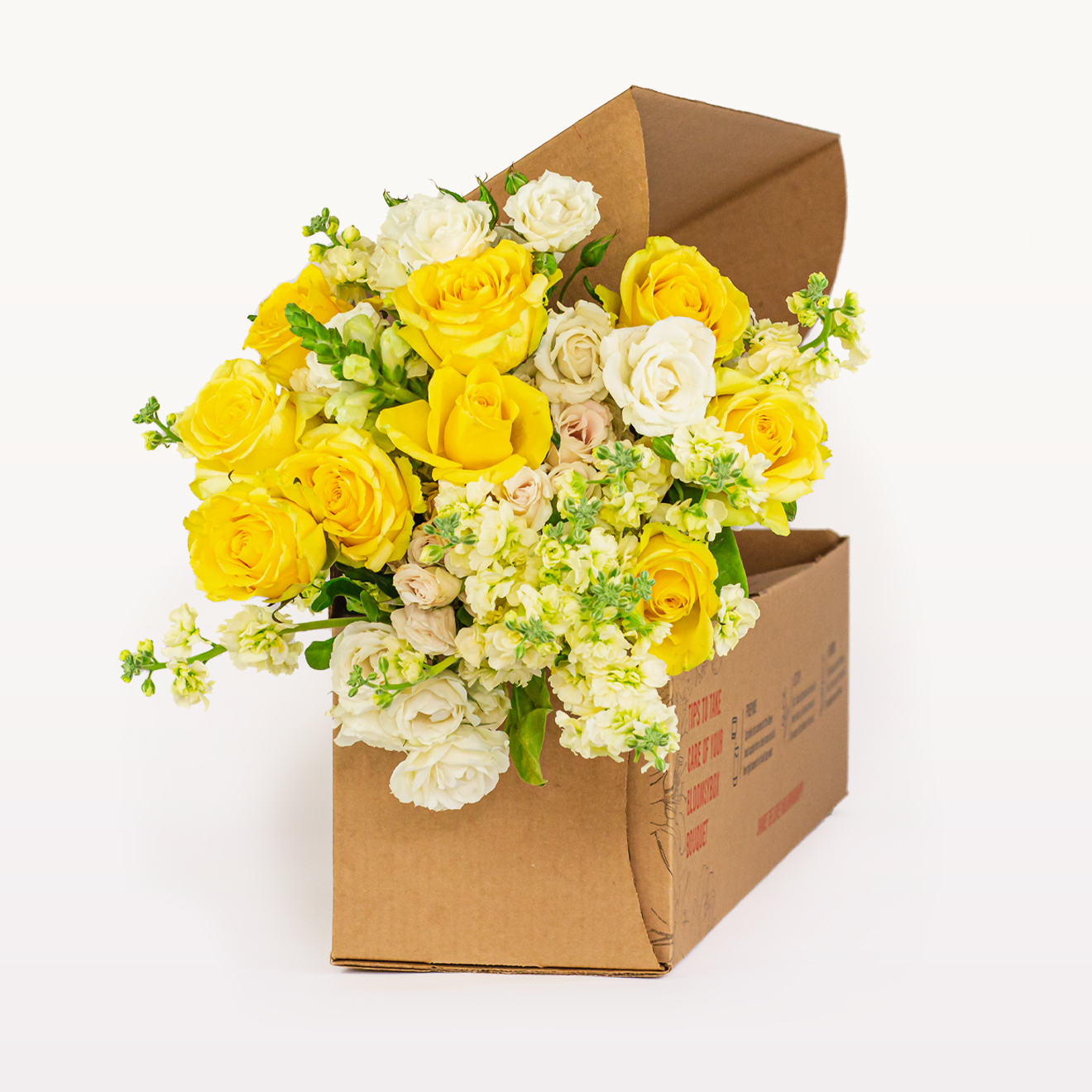 Pet Friendly Flowers Pet Safe Flowers Dog Flowers