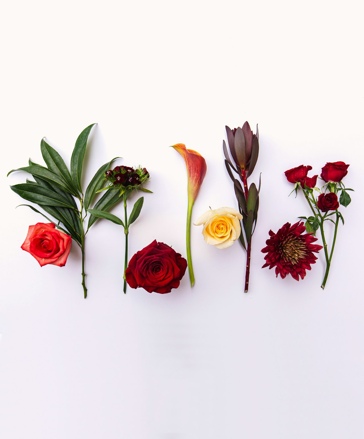 A vibrant arrangement of red and yellow flowers with lush greenery, showcasing beauty.
