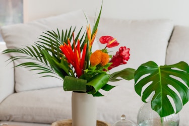 A vibrant tropical flower arrangement featuring orange bird of paradise, red anthuriums, and yellow pincushions set against a backdrop of green monstera leaves in a white vase.