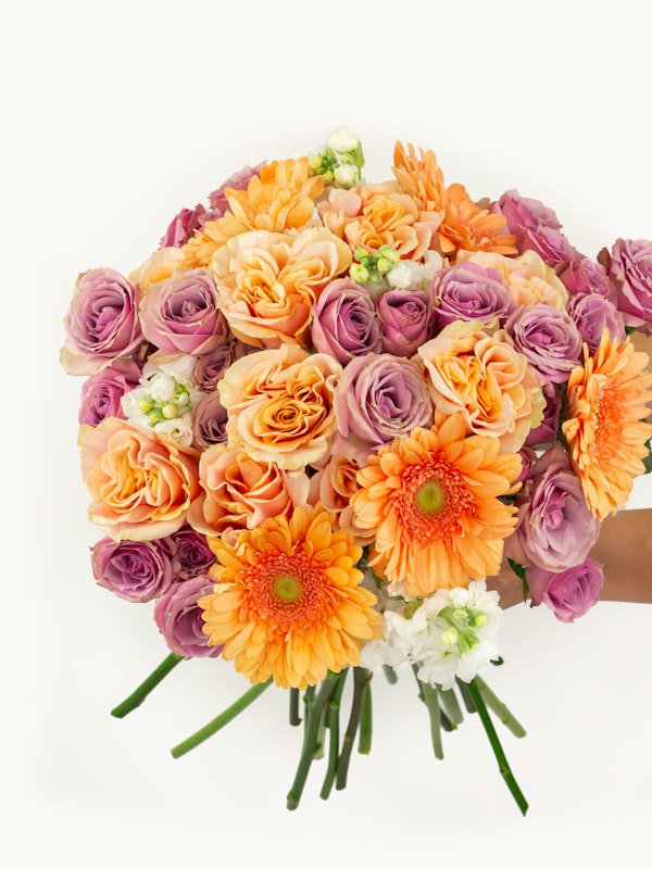A person holding a vibrant bouquet of flowers featuring purple roses, orange gerberas, and delicate white blossoms against a white background.
