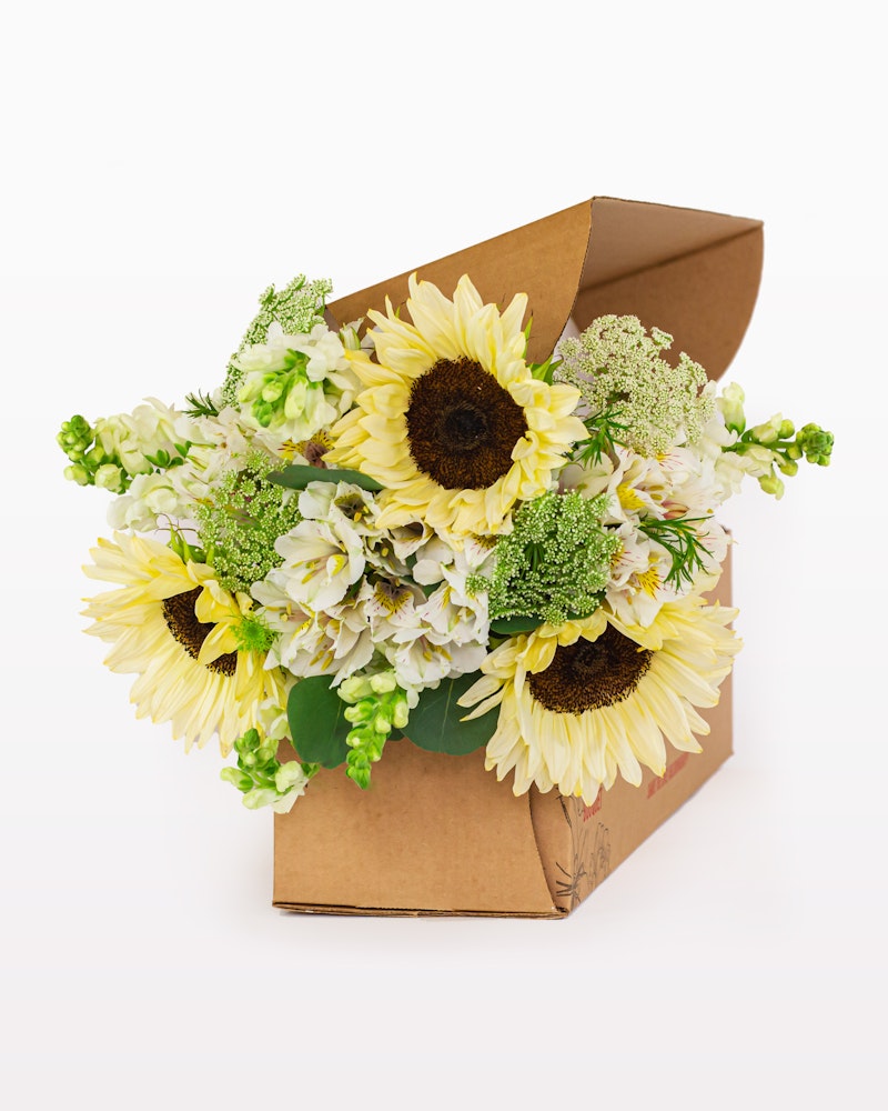 Bouquet of sunflowers and assorted white flowers with greenery presented in a brown cardboard gift box against a white background, perfect for special occasions.
