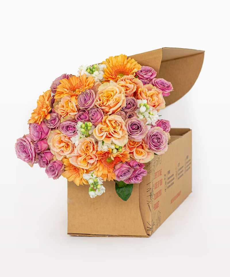 Vibrant bouquet of orange, peach, and purple roses with white accents spilling out of a cardboard delivery box against a white background.