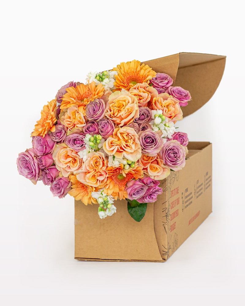 Vibrant bouquet of orange, peach, and purple roses with white accents spilling out of a cardboard delivery box against a white background.