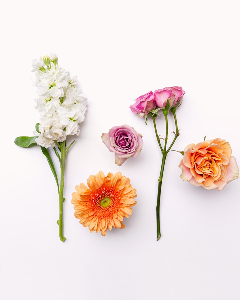 An array of colorful flowers, including white jasmine, pink roses, a purple rose, and an orange gerbera daisy, arranged in a line against a white background.