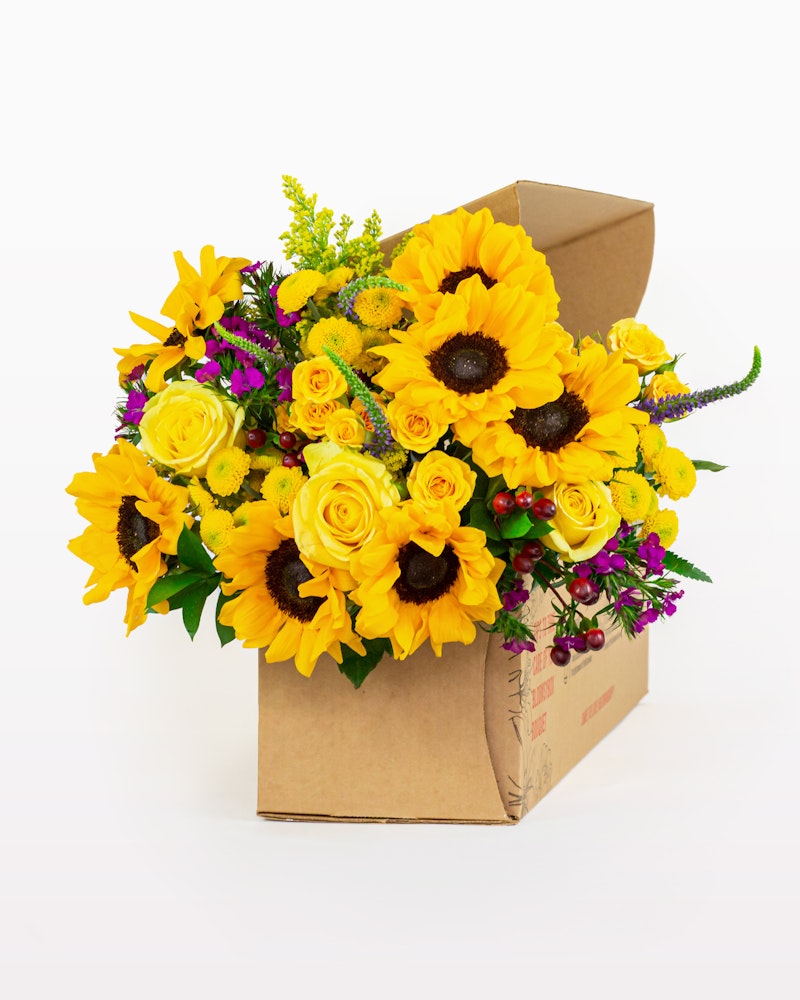 Vibrant bouquet of sunflowers and yellow roses with touches of purple and green foliage, freshly packed in a cardboard box on a white background.