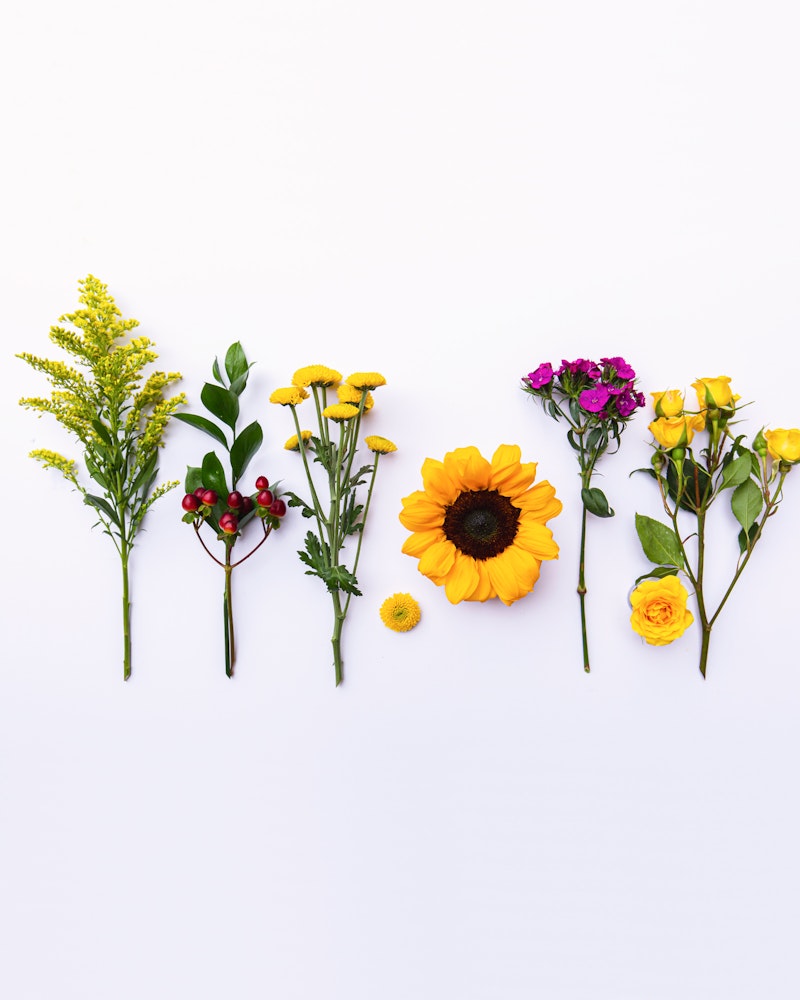 A vibrant assortment of flowers laid out on a white background, featuring a prominent sunflower, yellow roses, and various colorful wildflowers.