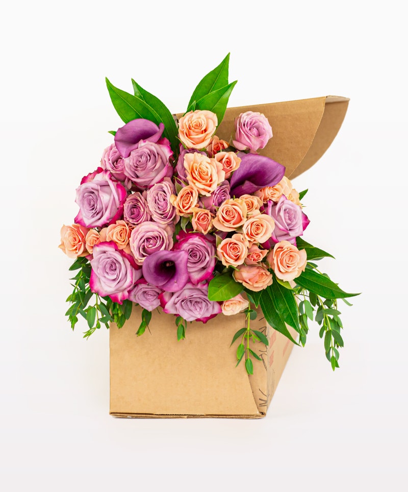 Bouquet of flowers with pink roses and purple calla lilies presented in a stylish brown paper cone against a white background, perfect for a gift or decoration.