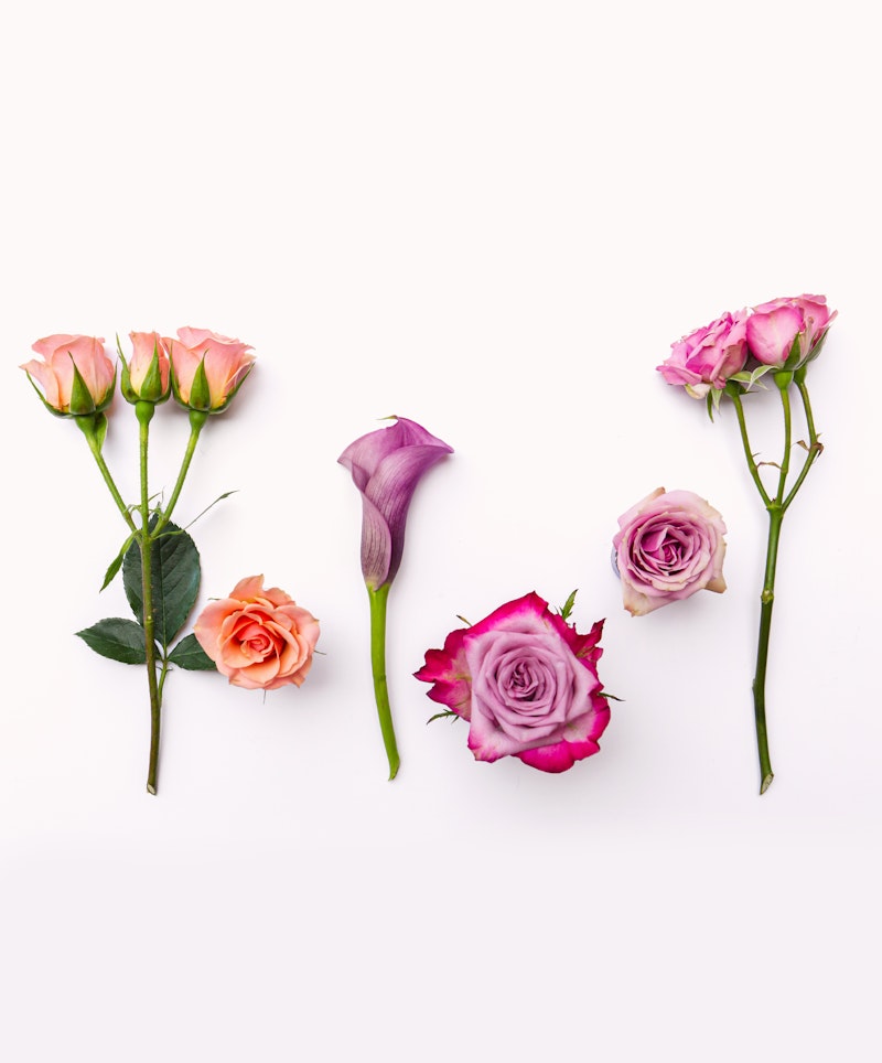 Five assorted flowers laid out on a white background, including pink and orange roses and a purple calla lily, organized in a visually pleasing arrangement.