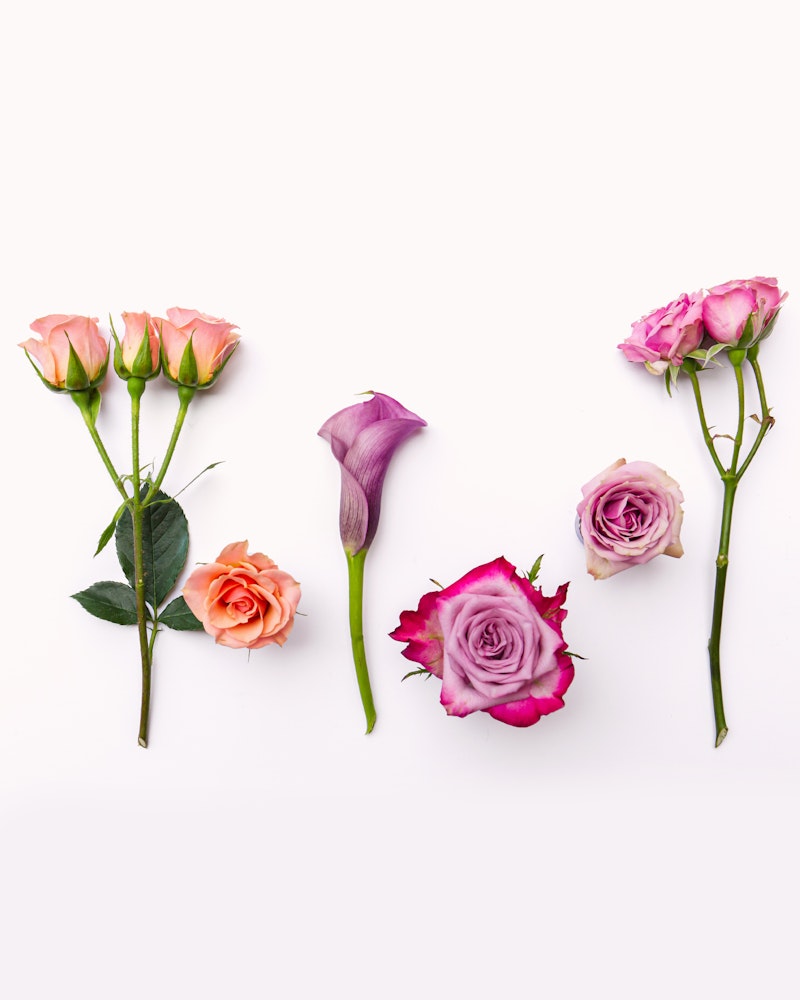 Five assorted flowers laid out on a white background, including pink and orange roses and a purple calla lily, organized in a visually pleasing arrangement.