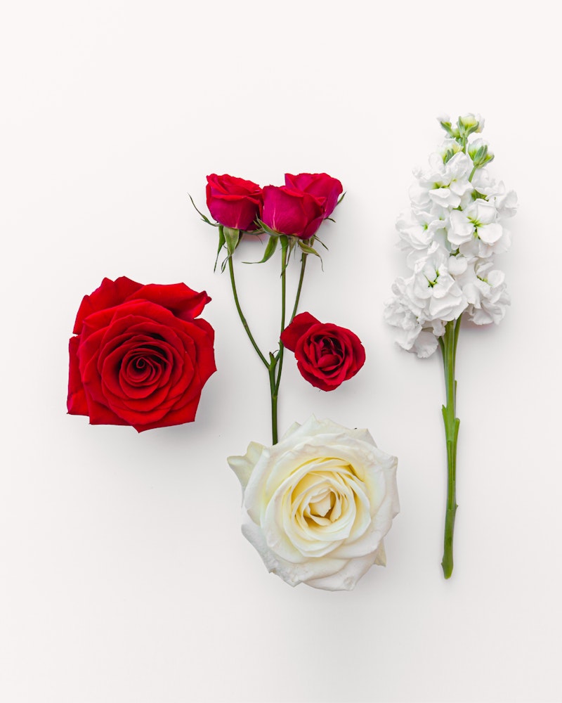 A vibrant arrangement of flowers on a white background, featuring red roses, a single large white rose, and a delicate stem of white snapdragons.