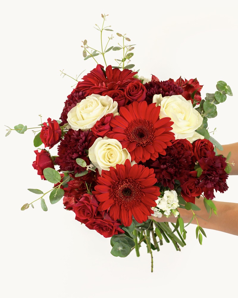 Bouquet of fresh flowers including red gerberas, deep red peonies, white roses, and green foliage held by two hands against a white backdrop.