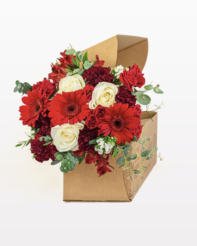 Vibrant bouquet of red gerberas, crimson carnations, and white roses with greenery emerging from a brown cardboard box against a soft white background.