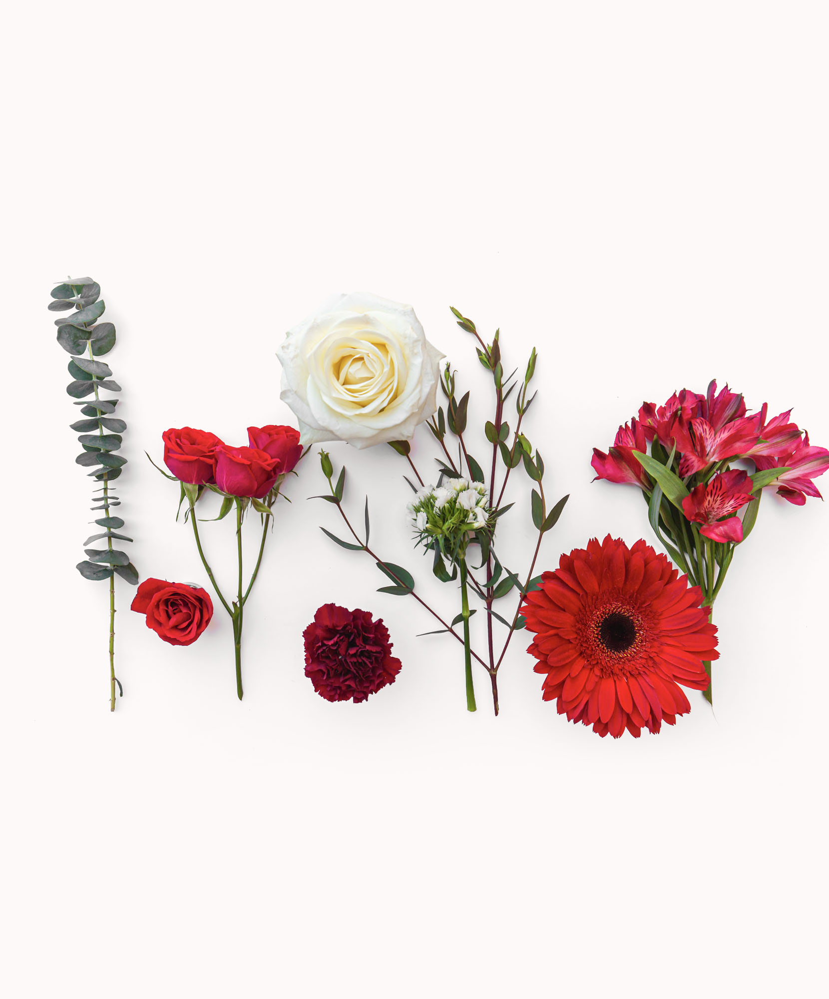 Joy | BloomsyBox