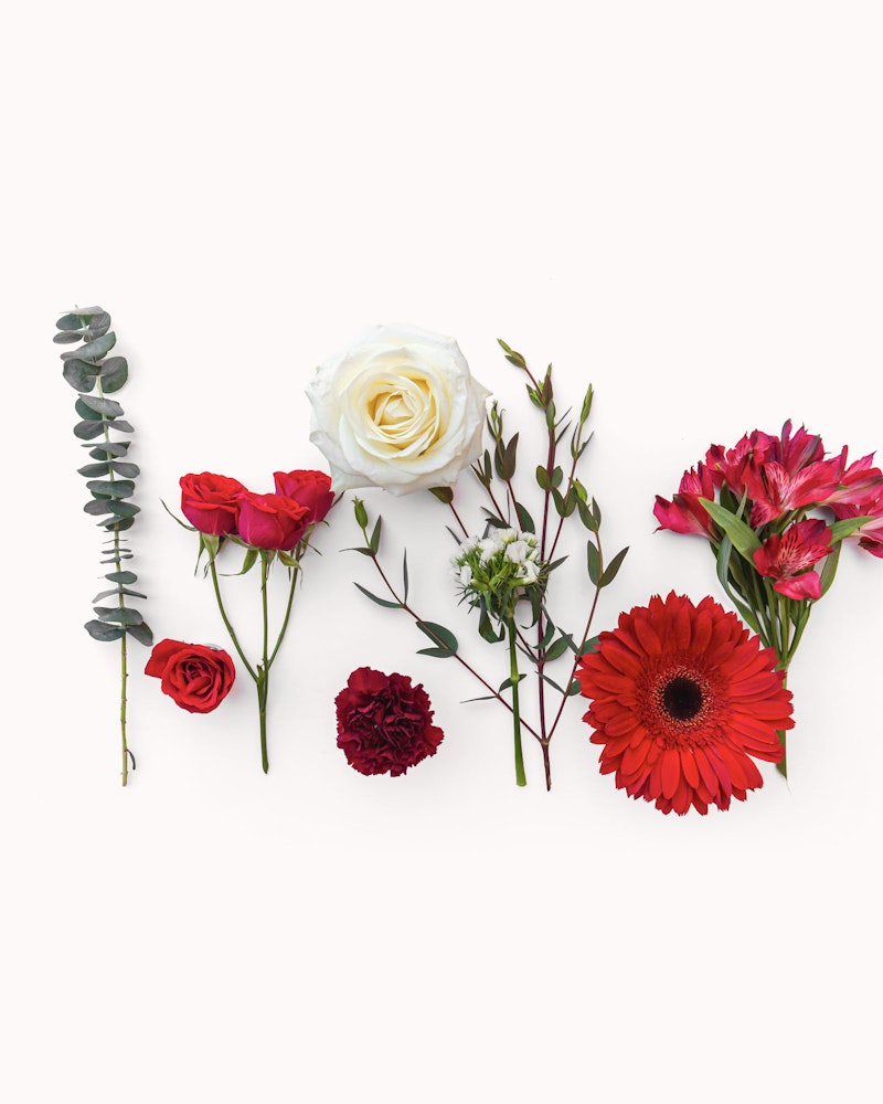 A vibrant array of flowers including a white rose, red roses, pink gerbera, and greenery arranged in a neat line on a white background.