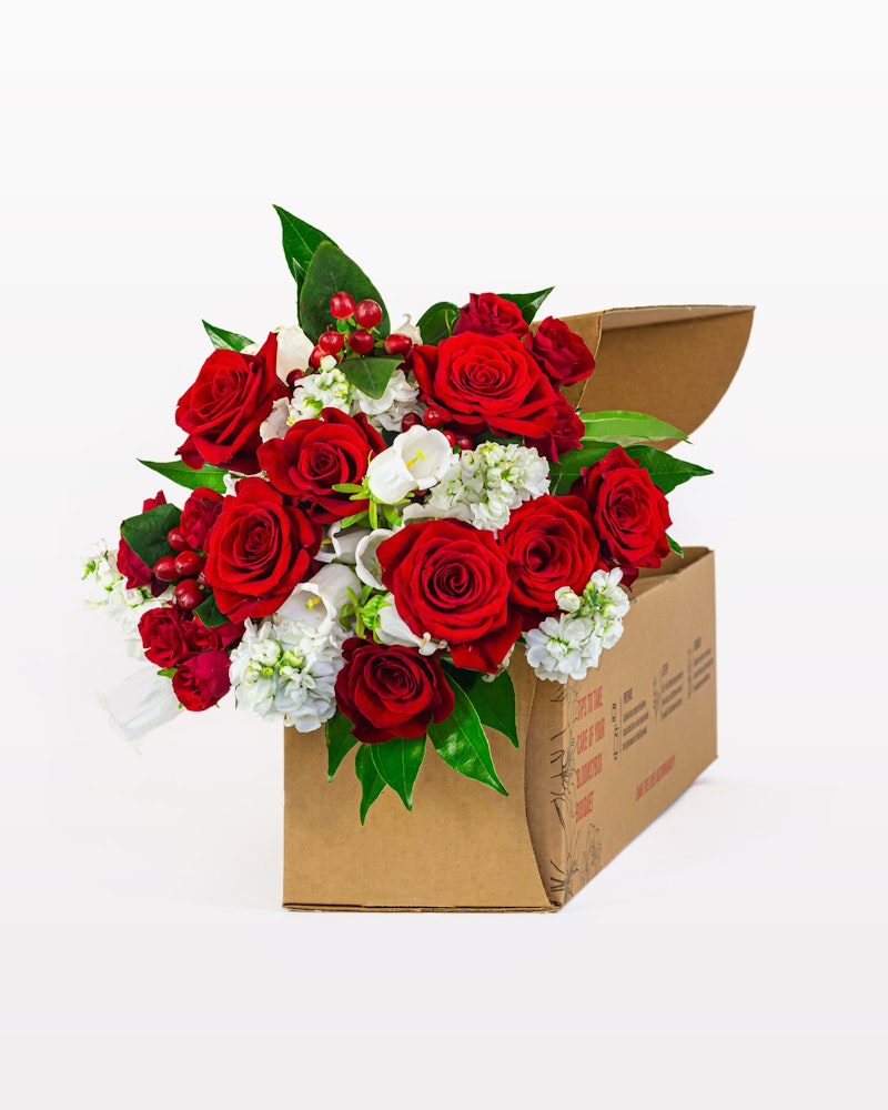 A vibrant bouquet of red roses and white flowers with green leaves elegantly arranged and protruding from an open cardboard box against a white background.