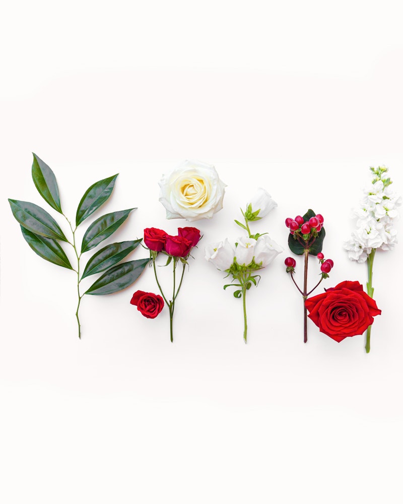 A variety of beautiful flowers and green leaves arranged in a row on a white background, including red roses, a white rose, and delicate white blossoms.