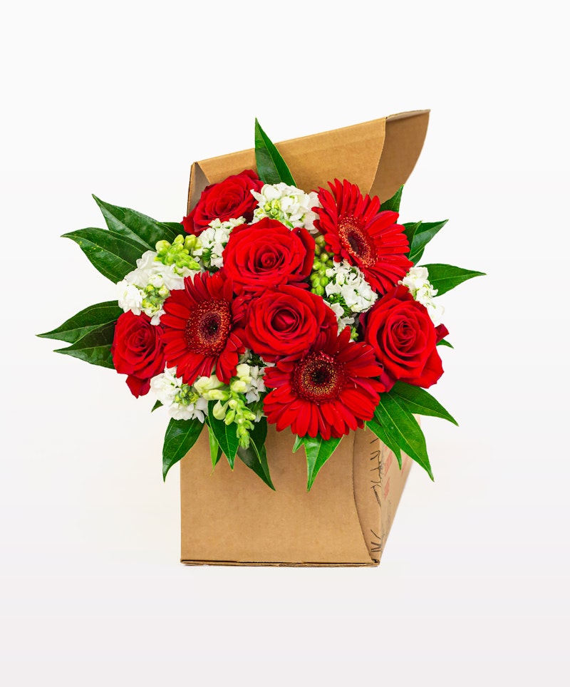 Vibrant bouquet of red gerberas and roses with white blooms and lush green leaves, artistically arranged in a stylish brown paper wrapper against a white background.