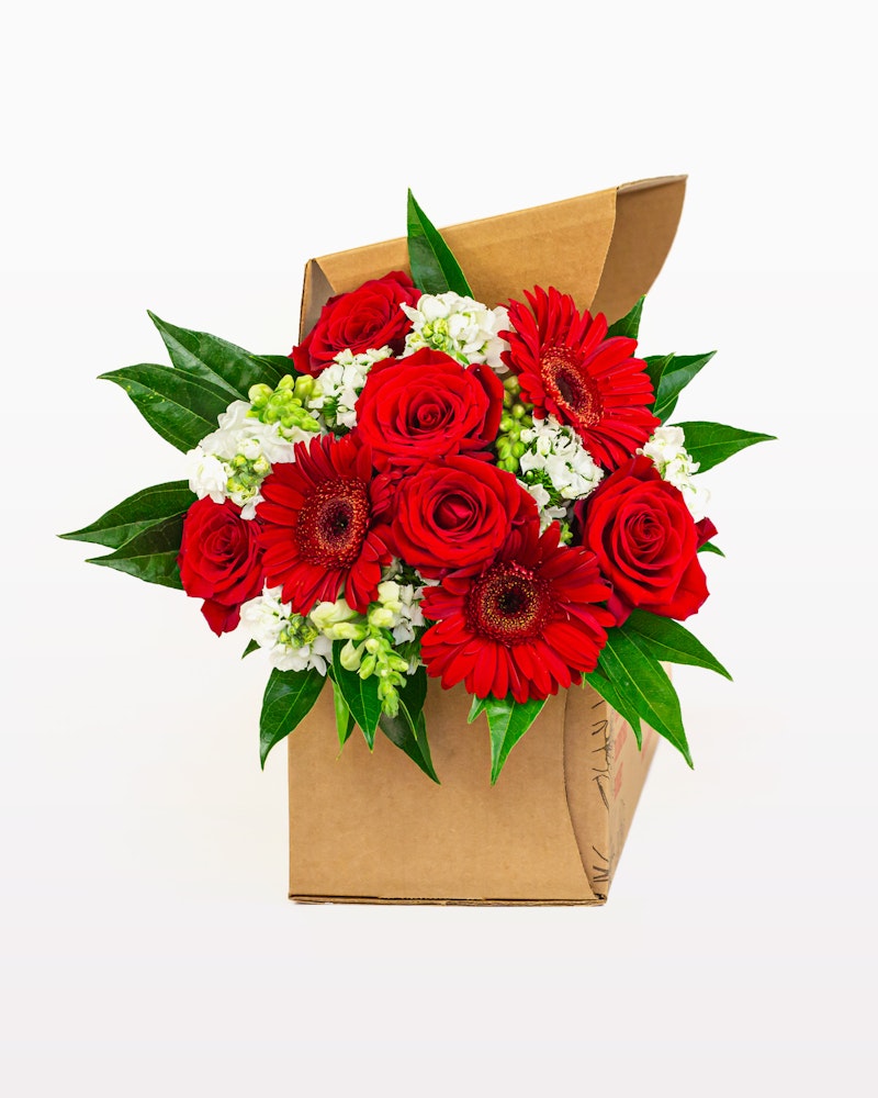Vibrant bouquet of red gerberas and roses with white blooms and lush green leaves, artistically arranged in a stylish brown paper wrapper against a white background.