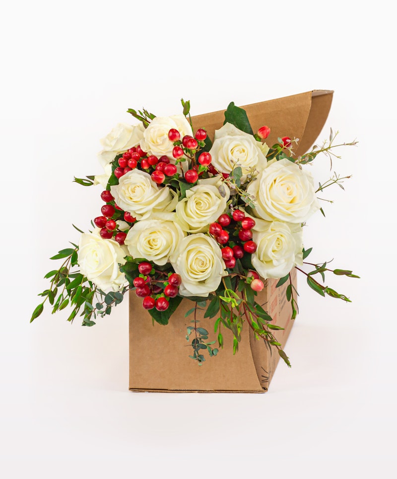 Elegant bouquet of fresh white roses and red berries with green foliage, wrapped in craft paper, presented against a clean white background.