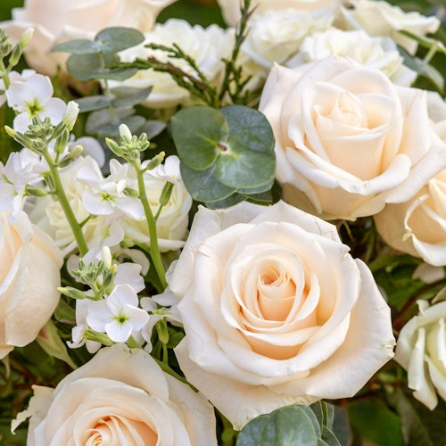 Close-up of a beautiful bouquet featuring delicate cream roses surrounded by white blooms and lush greenery, conveying elegance and a romantic vibe.