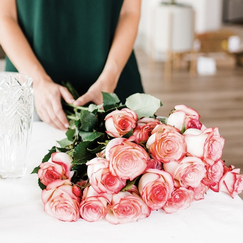 Rose Delivery | Farm-Fresh Roses Delivered Nationwide