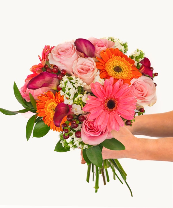 Vibrant bouquet of pink roses, orange gerberas, and mixed blossoms held by a hand against a white background, symbolizing a fresh floral gift.