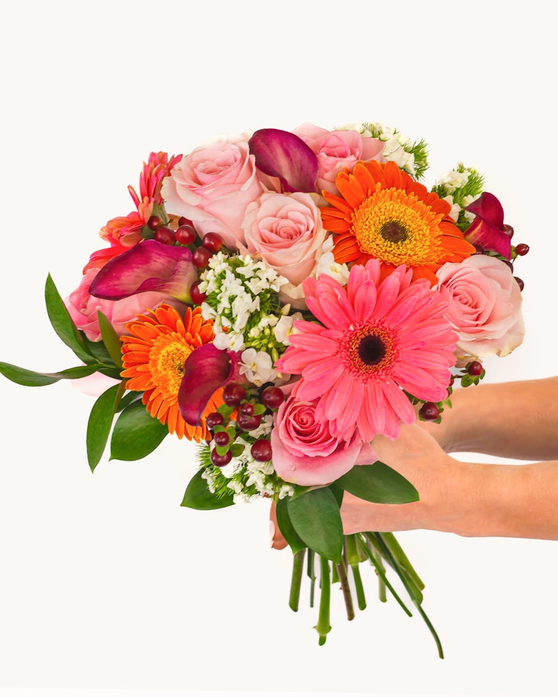 Vibrant bouquet of pink roses, orange gerberas, and mixed blossoms held by a hand against a white background, symbolizing a fresh floral gift.