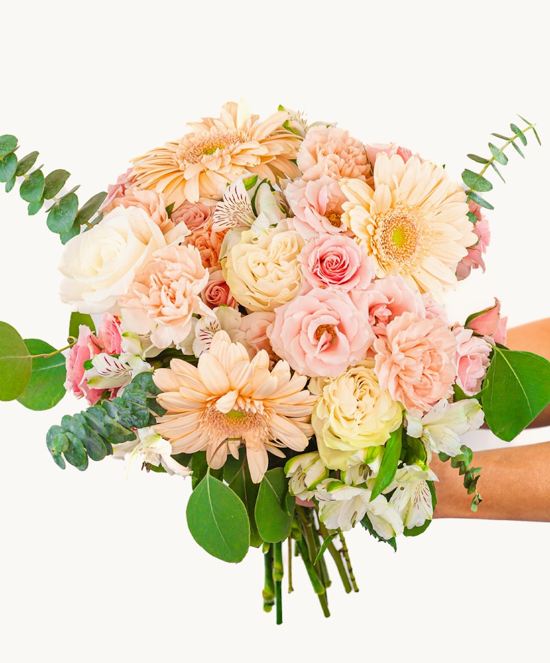 A person holds a lush bouquet of mixed flowers, featuring pale pink roses, white blooms, and hints of green foliage, against a clean white background.