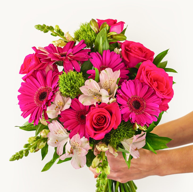 Vibrant bouquet of flowers held in hands, featuring bright pink gerberas, red roses, pink alstroemeria, and green accents on a white background.