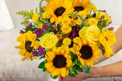 Bright bouquet of sunflowers and yellow roses held in hands, with green foliage and purple accents, against a soft-focused beige background.