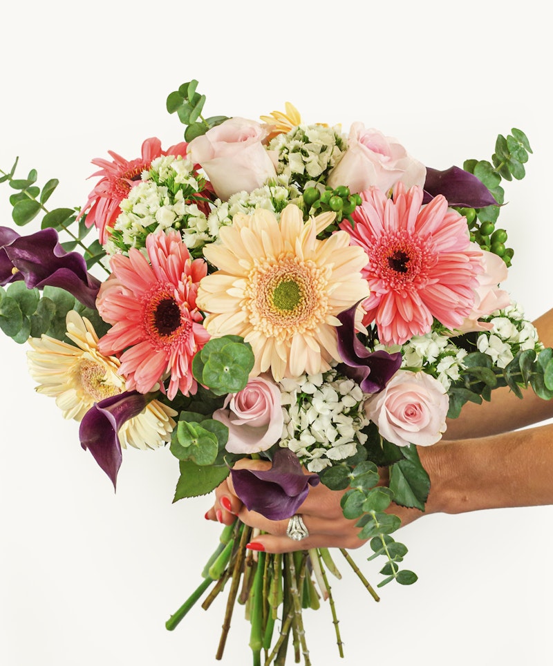 A person holds a vibrant bouquet featuring pink roses, red and yellow gerberas, and assorted greenery against a white background, ideal for special occasions.