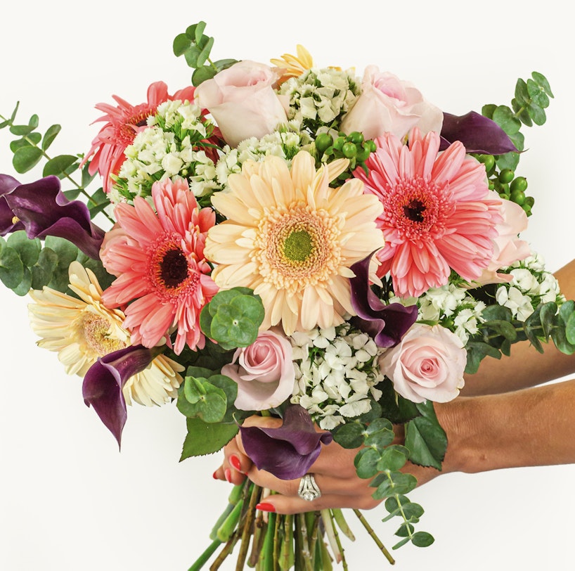 A person holds a vibrant bouquet featuring pink roses, red and yellow gerberas, and assorted greenery against a white background, ideal for special occasions.