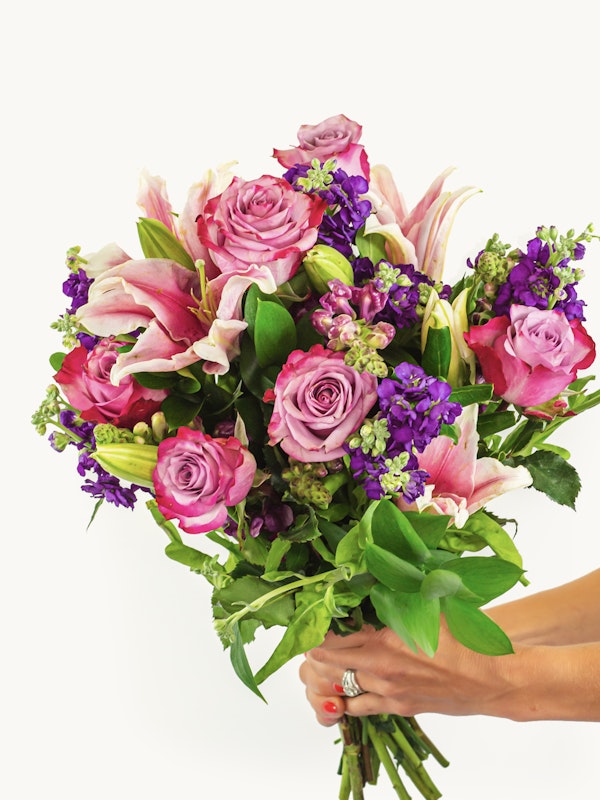 A vibrant bouquet of pink roses, purple flowers, and green foliage held by a person against a white background, showcasing a variety of blooms and lush leaves.