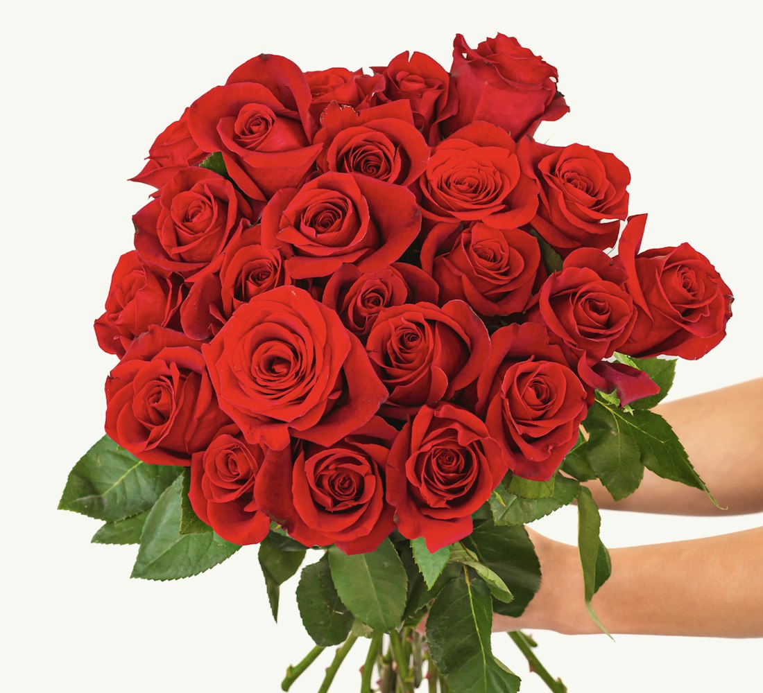 Vibrant bouquet of red roses held by hands, perfect for romantic ...