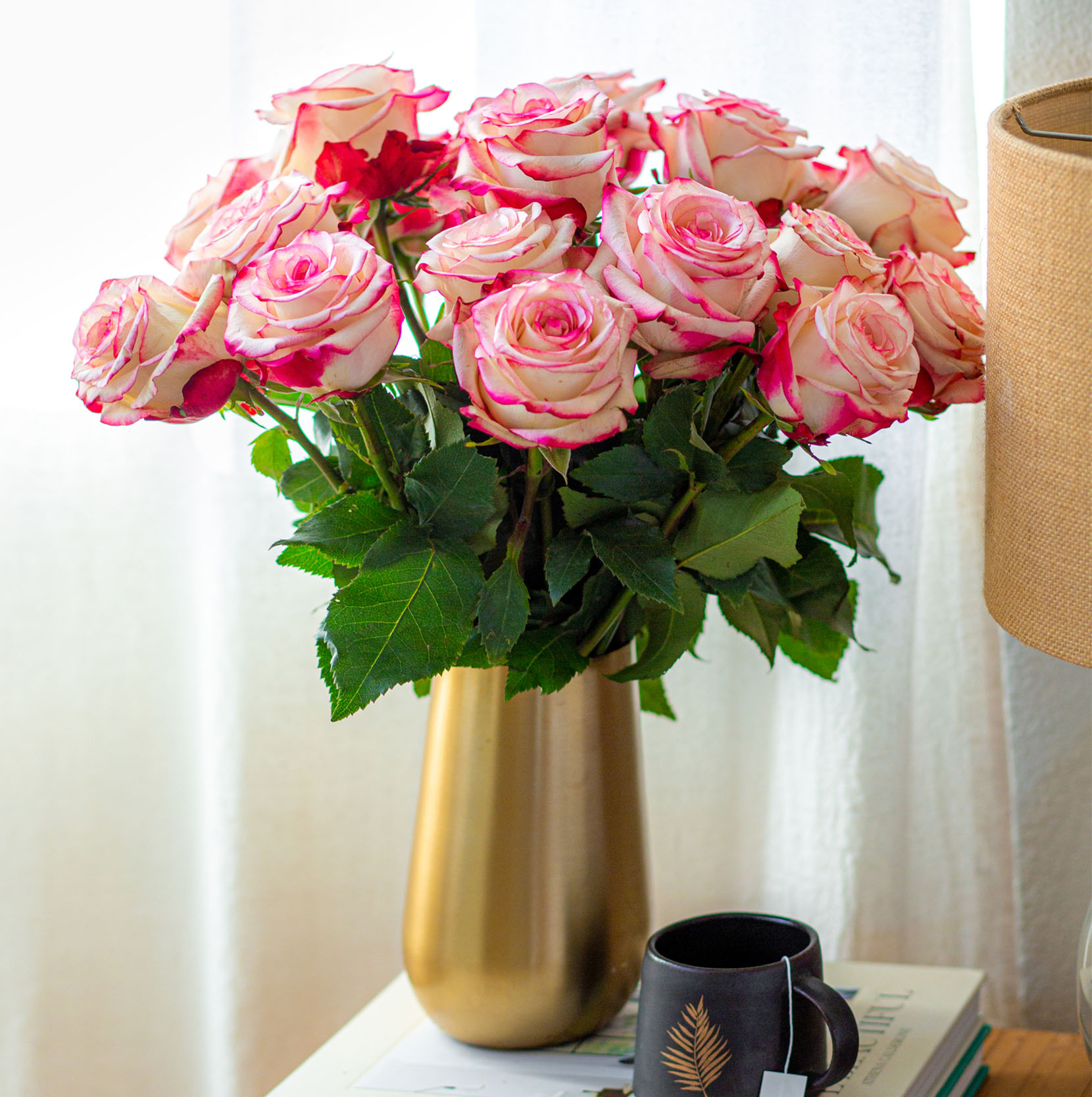 Where Are the Best Roses in The World From? BloomsyBox
