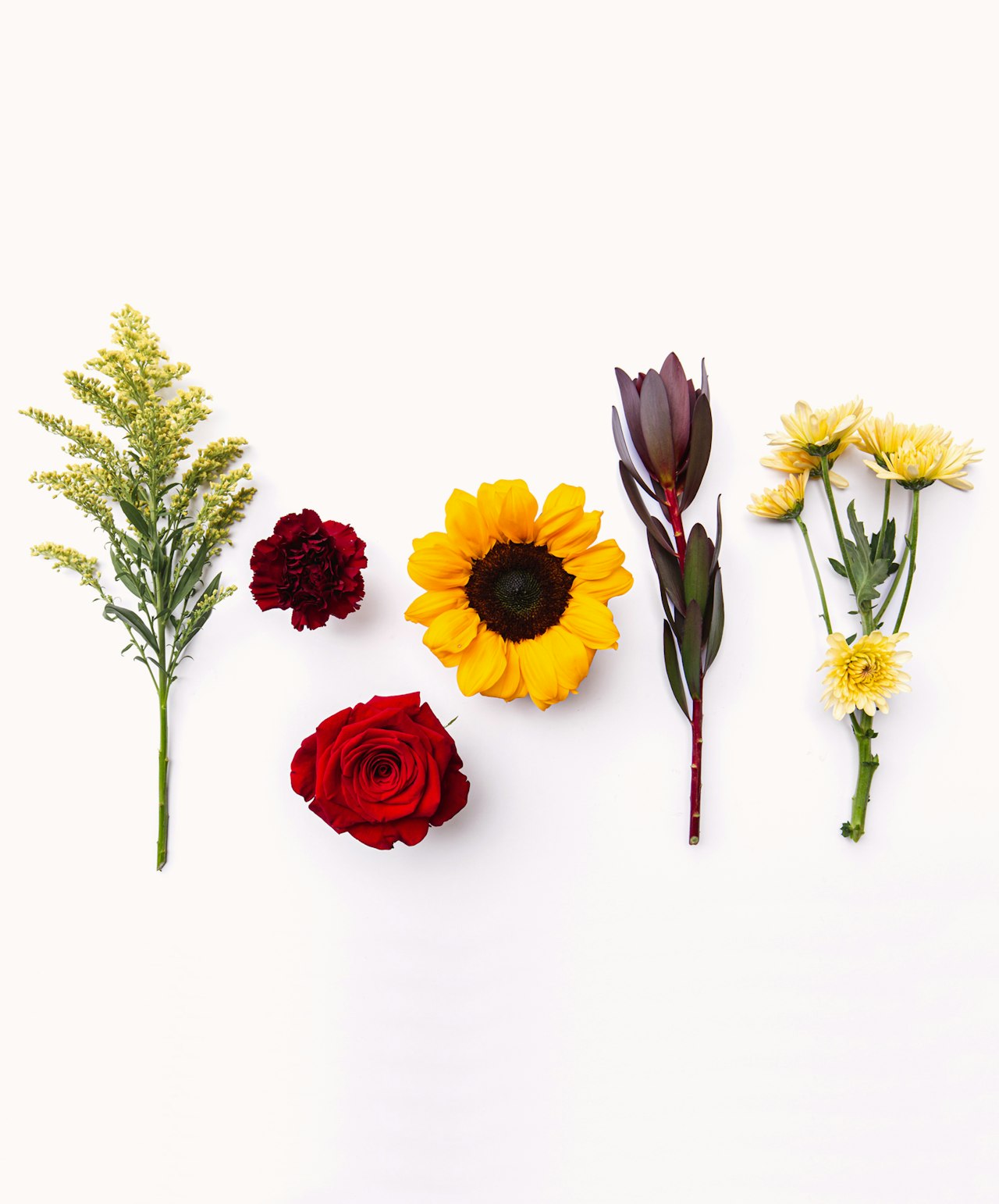 Colorful floral assortment featuring sunflowers, roses, and daisies on a light background.
