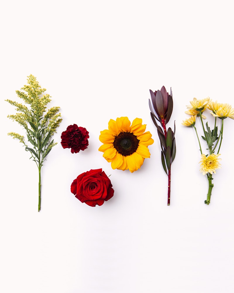 A colorful assortment of six different flowers, including a sunflower and a red rose, neatly arranged in a row against a clean white background.