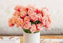 Vibrant pink tulips with fringed edges arranged in a white vase on a table with newspapers, exuding a fresh and bright aesthetic in a cozy indoor setting.